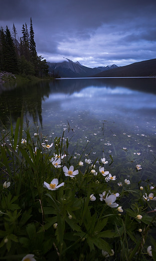 209A9378-Edit.jpg