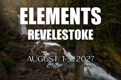 ELEMENTS-REVY.jpg