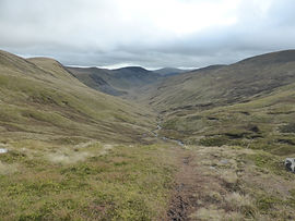 16-10-29 Braemar Burek 03.JPG