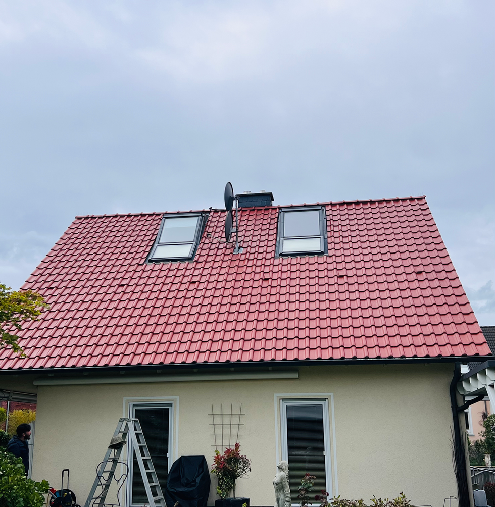 IMG_1684.HEIC