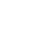 Nanei_Logo_White.png
