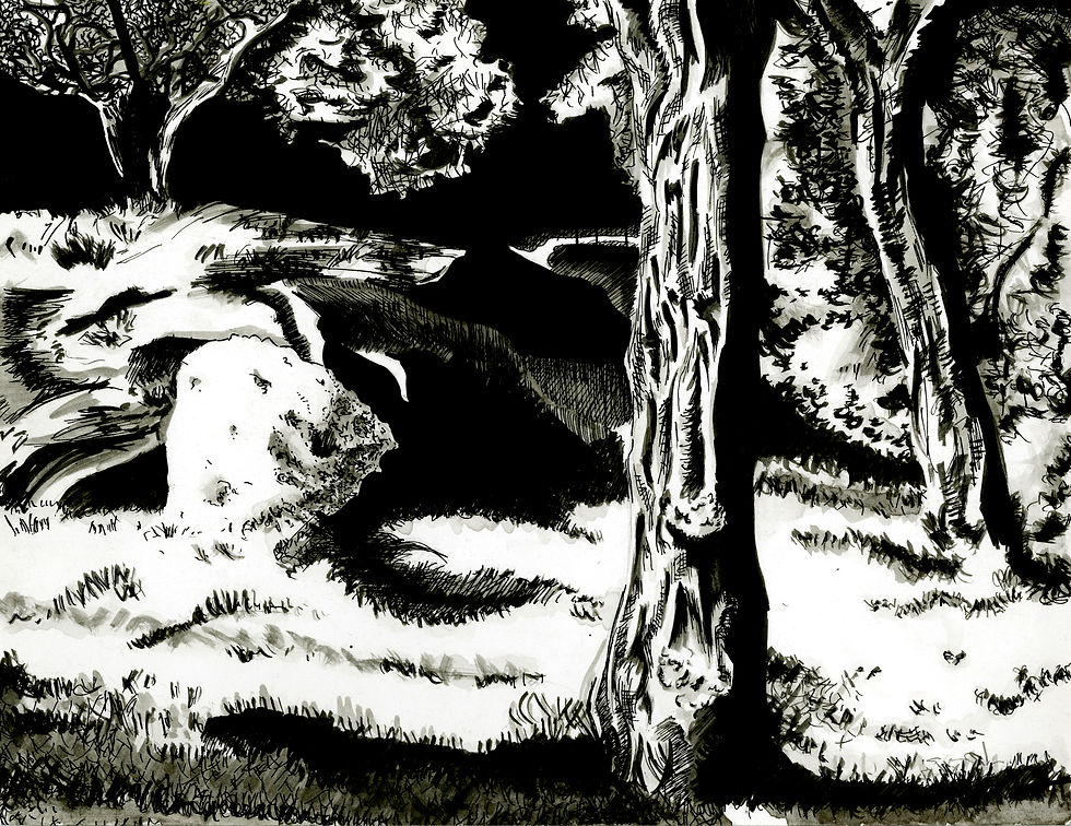 Ink Study