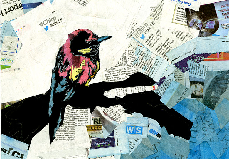 Bird