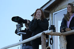 Fin-20180716-085820-0800-IMG_2785 (1).JPG