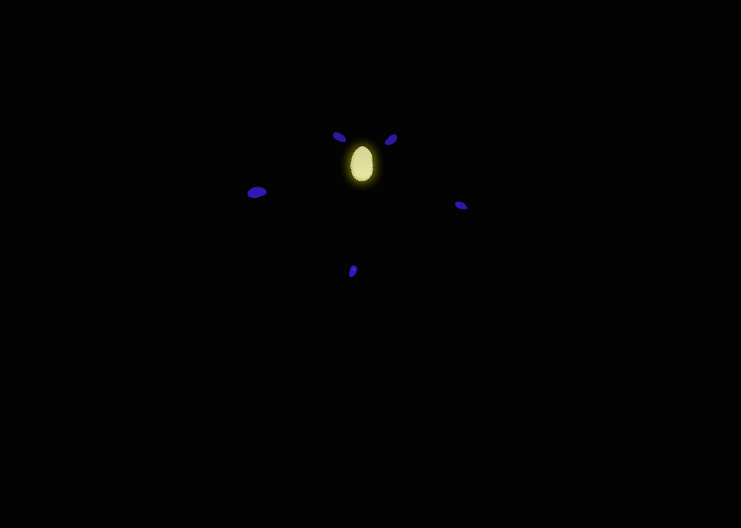 Continuous Flow.gif