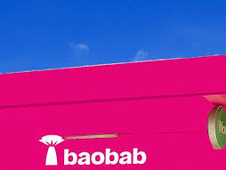 baobab IVC.jpeg