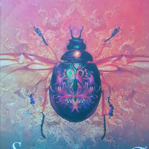Oracle Decks - Pros & Cons