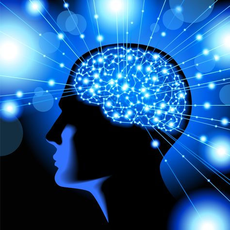 human head, brain