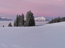 Alpenglow Pink Sky Photo - Beatenberg, Switzerland