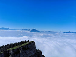 Above the "Nebelmeer" on the Niederhorn