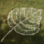 "Land Art"...Art éphémère