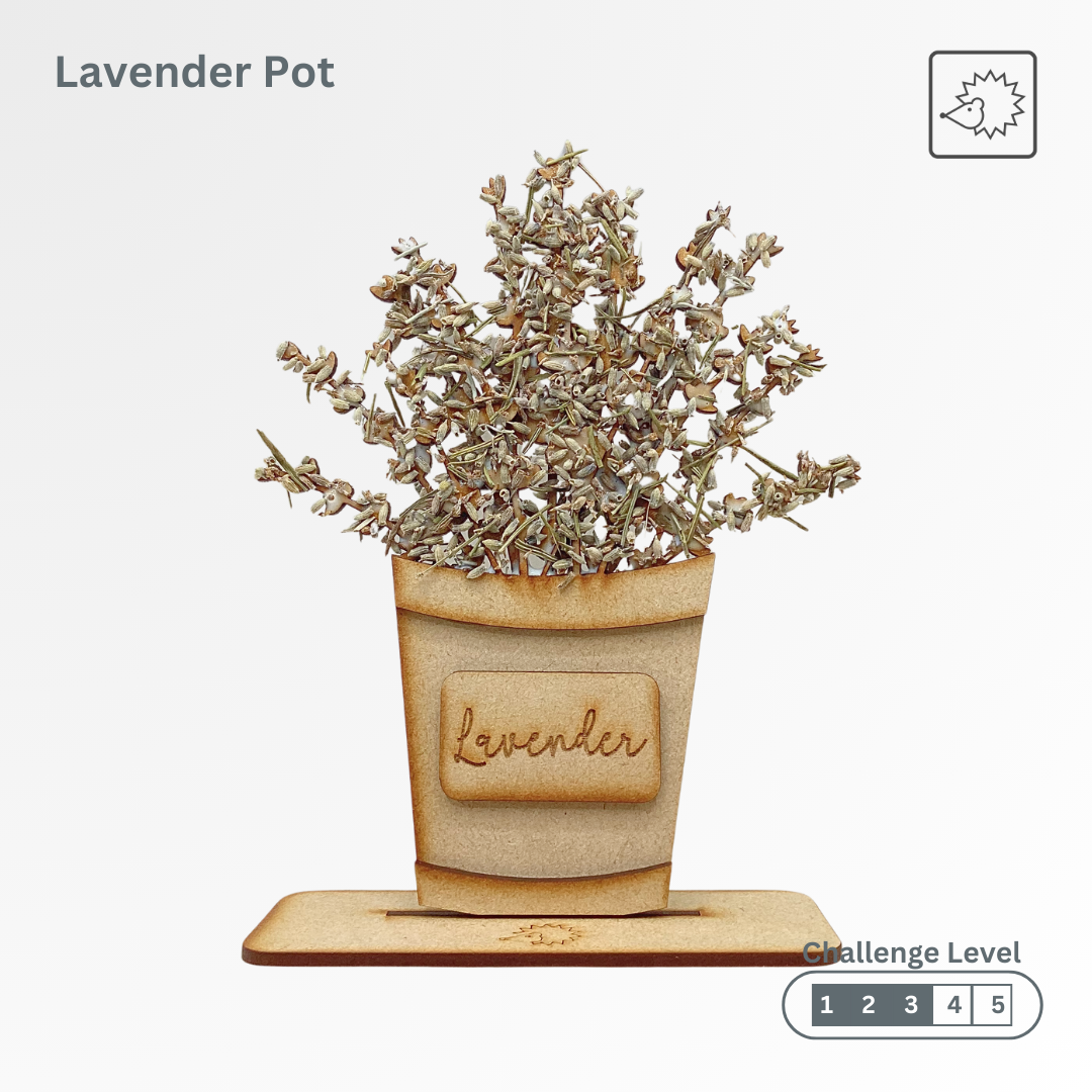Lavender Pot Kit