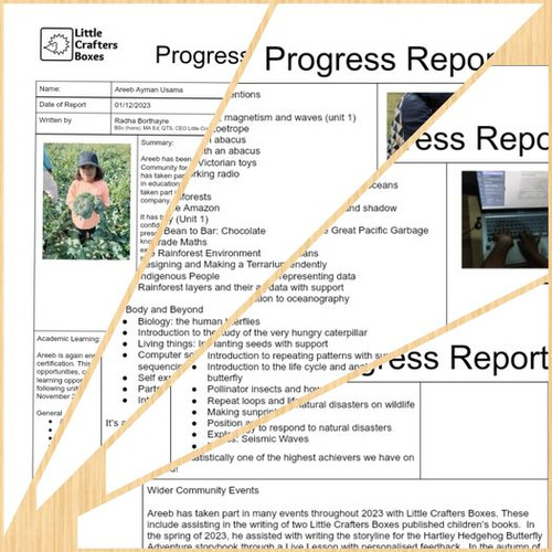 WHAT IS PROGRESS REPORT IN EDUCATION intelligence overview