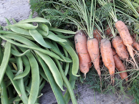 Food News Wrap-Up