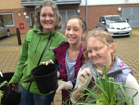 The Meadows' big plant out