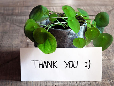 Sustainable Merton received generous donation from Indigo Planning