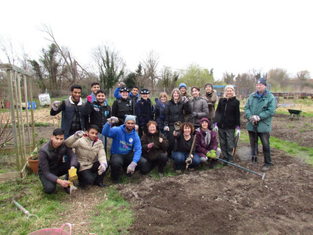 The Big Dig 2015
