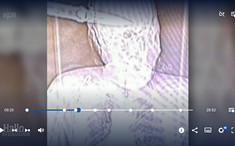 NDR, Hallo Niedersachsen, Dr. jur. Dirk Meinicke