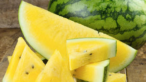 Ignoring The Stereotype!