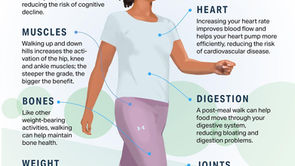 BENEFITS OF WALKING