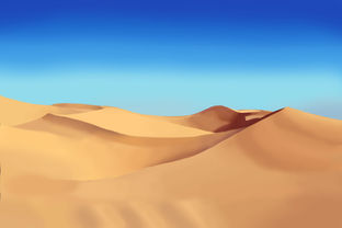 Student-created digital landscape painting completed in Adobe Photoshop using a Wacom tablet, custom brushes, layers, and digital painting techniques.