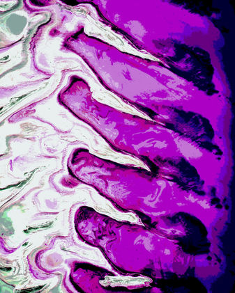 Photoshop Layer Adjustments
Fall 2021