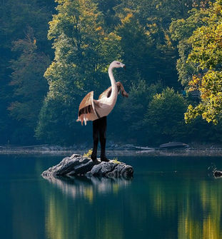 Hyflam — Student-created fantasy species digital composite with accompanying field notes.