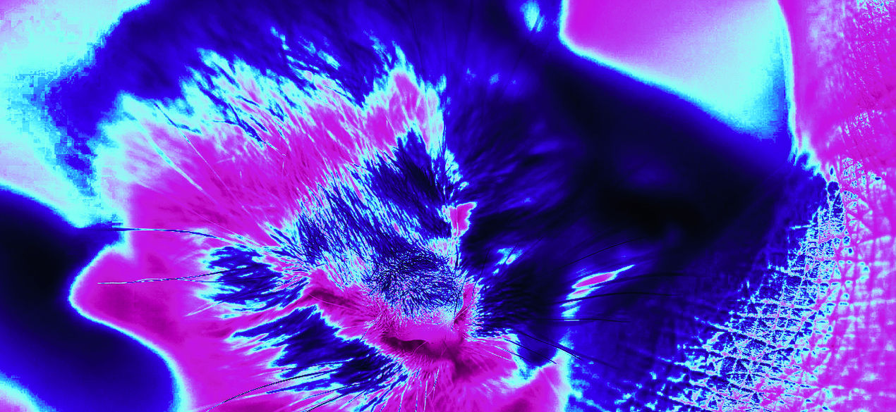 Photoshop Gradient Map Fall 2023