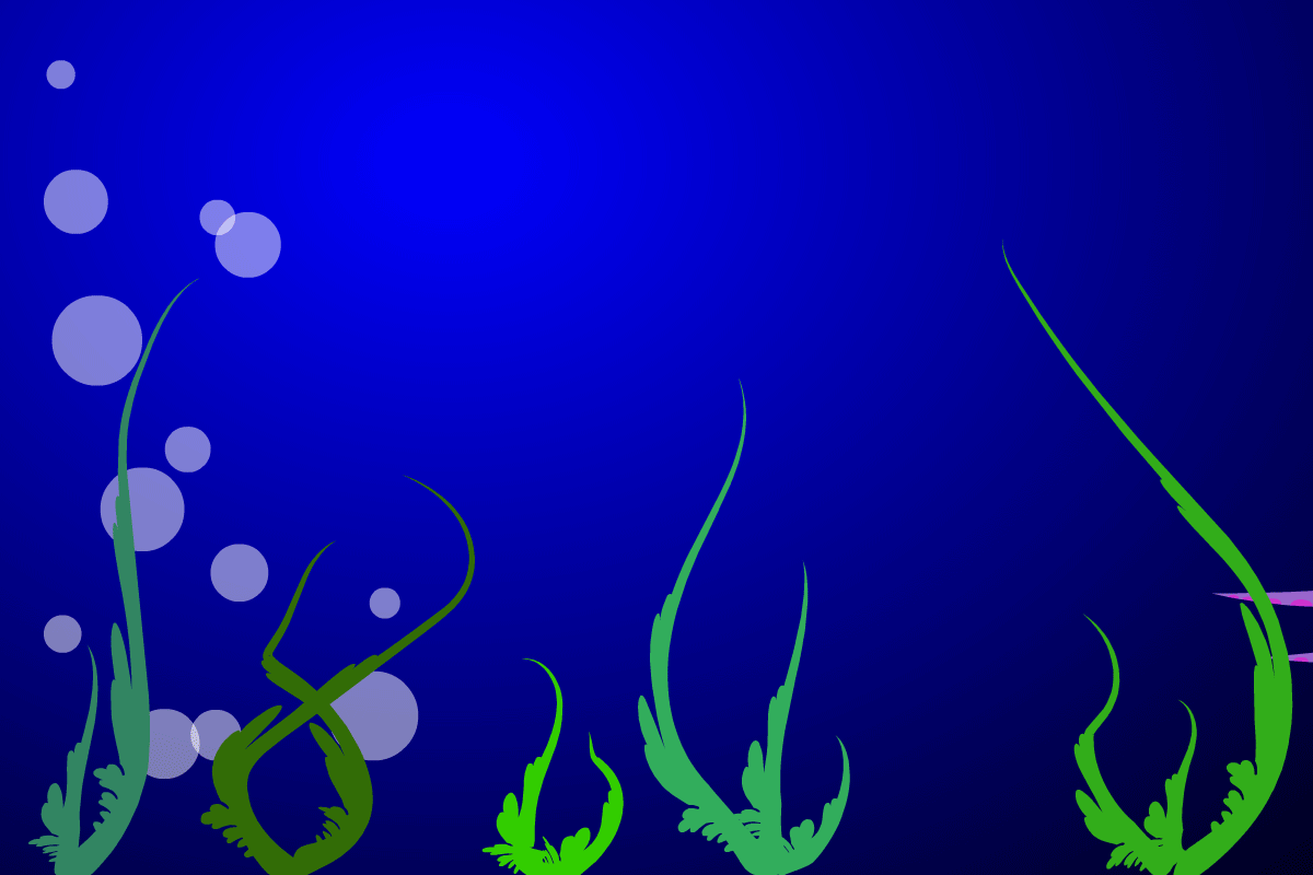 Octopus Beware