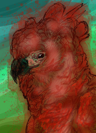 Student-created digital animal portrait painting completed in Adobe Photoshop using a Wacom tablet, custom brushes, layers, and digital painting and blending techniques. The painting is a highly textured close-up study of a red bird or parrot head with a dark curved beak against a subtle green background.