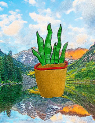 Student-created digital illustration of a snake plant with original background created in Adobe Photoshop using a Wacom tablet, custom brushes, layers, and digital painting techniques.
