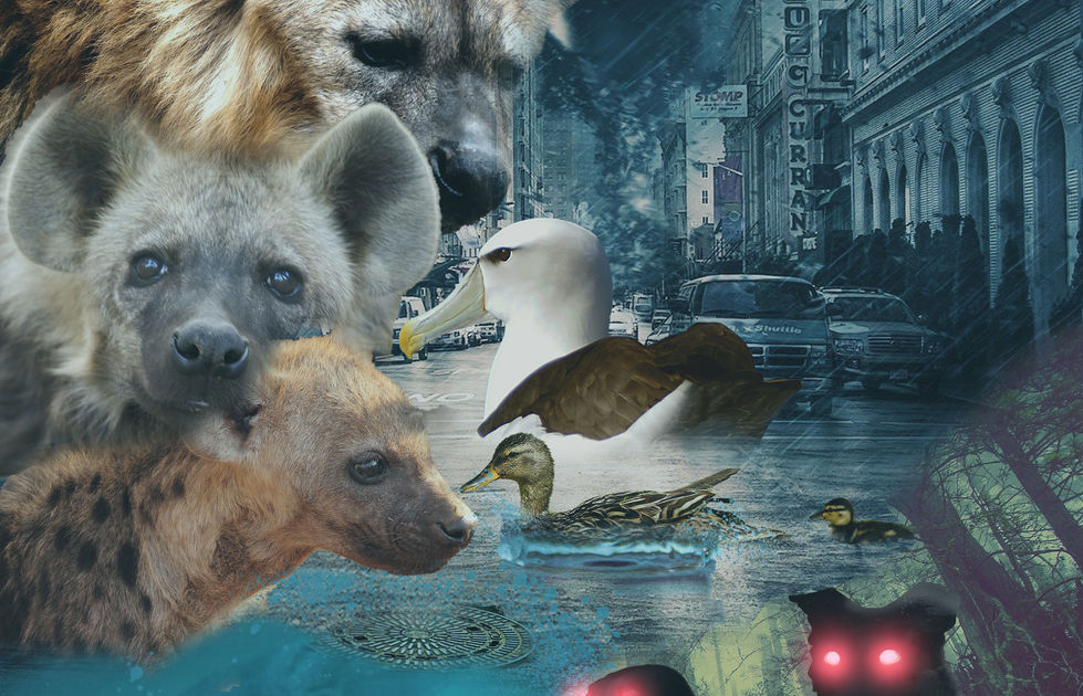 Photoshop Collage
Fall 2021