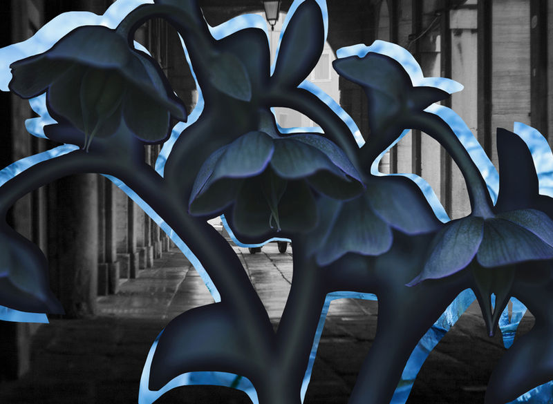 Silhouette Mask 2021