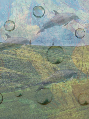 Student-created surreal digital composition inspired by Salvador Dalí and using Photoshop compositing techniques featuring dolphins flying beneath watery surface revealing green pastures.