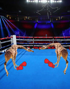 Student-created digital artwork featuring two creatively posed giraffes boxing in red gloves in a boxing ring using Photoshop Puppet Warp, compositing, and visual storytelling techniques.