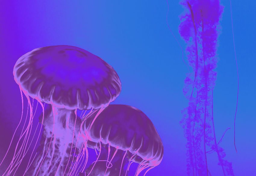 Photoshop Gradient Map Fall 2023