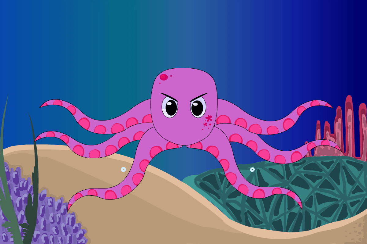 Octopus Beware