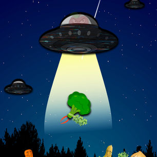 Student-designed storybook cover featuring original fruit and vegetable characters, creative digital compositing, and custom typography created in Adobe Photoshop.