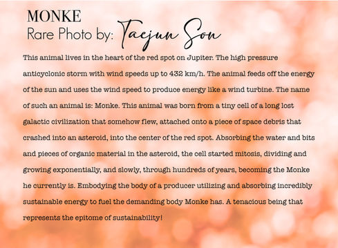 Monke — Student-created fantasy species digital composite with accompanying field notes.
