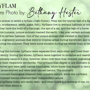 Hyflam — Student-created fantasy species digital composite with accompanying field notes.