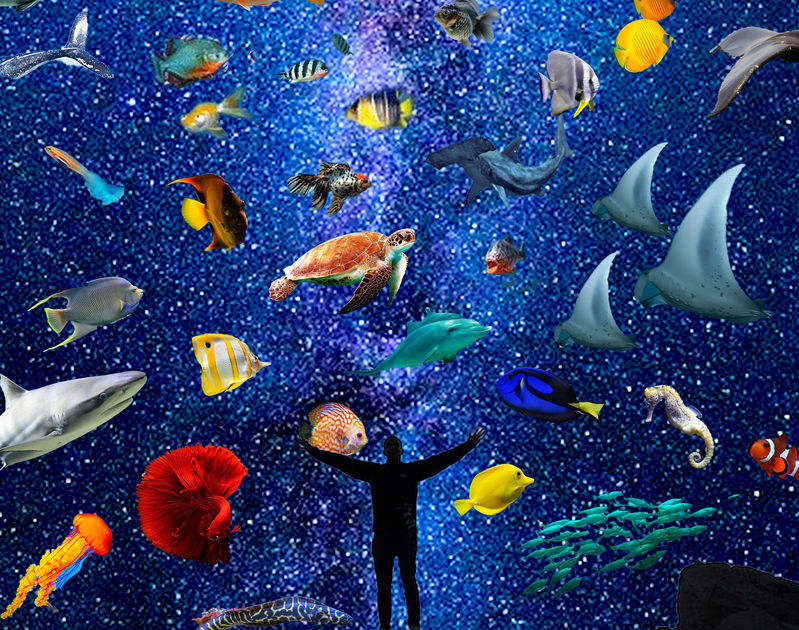 Photoshop Collage
Fall 2021