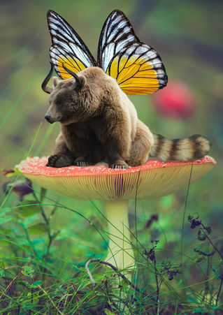 Bramblewing — Student-created fantasy species digital composite with accompanying field notes.