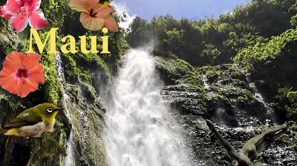 Maui We Stand With You. World Issues. Original student illustration using Adobe Photoshop supporting the people of Maui. Spring 2023.