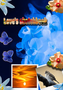 Nature-inspired mixed-media sketchbook cover featuring glowing blue flowers, butterflies, hibiscus and lily blossoms, blue flowers, a sunset, a bird, and photo-filled title lettering.