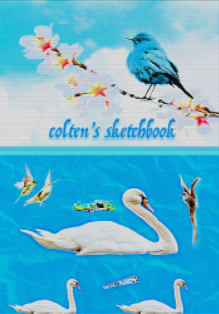 Blue mixed media digital sketchbook cover blending photographs, typography, textures, and creative effects featuring swan and other birds.