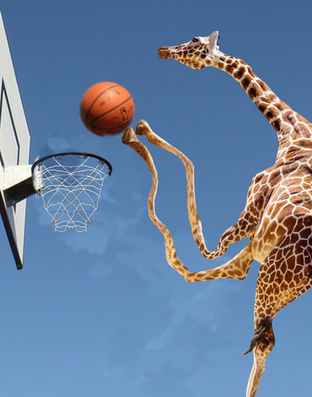 Student-created digital artwork featuring a basketball playing giraffe at a hoop using Photoshop Puppet Warp, compositing, and visual storytelling techniques.