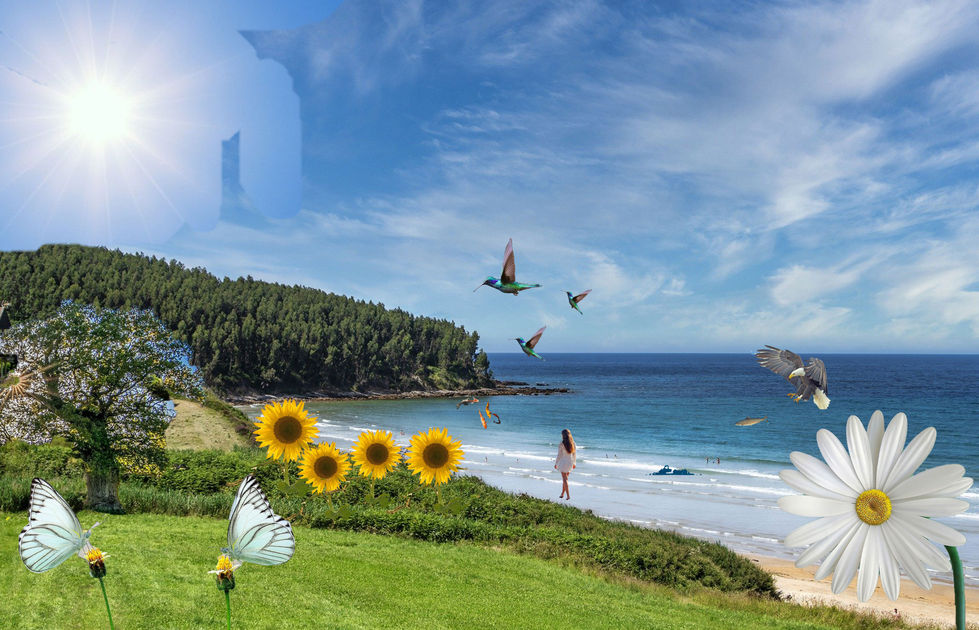 Photoshop Collage
Fall 2021