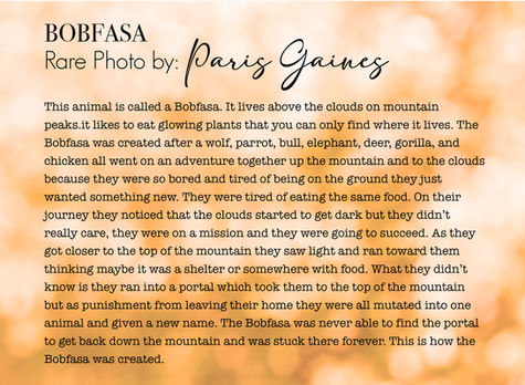 Bobfasa — Student-created fantasy species digital composite with accompanying field notes.