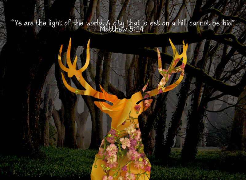 Silhouette Mask 2023