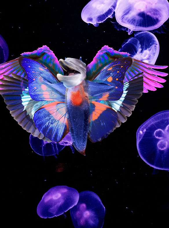Drift Ice Angel — Student-created fantasy species digital composite with accompanying field notes.